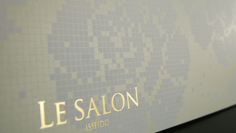 le salon.jpg